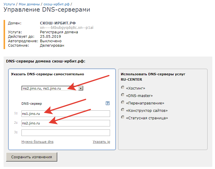Параметры домена. DNS сервера nic.ru. DNS записи.