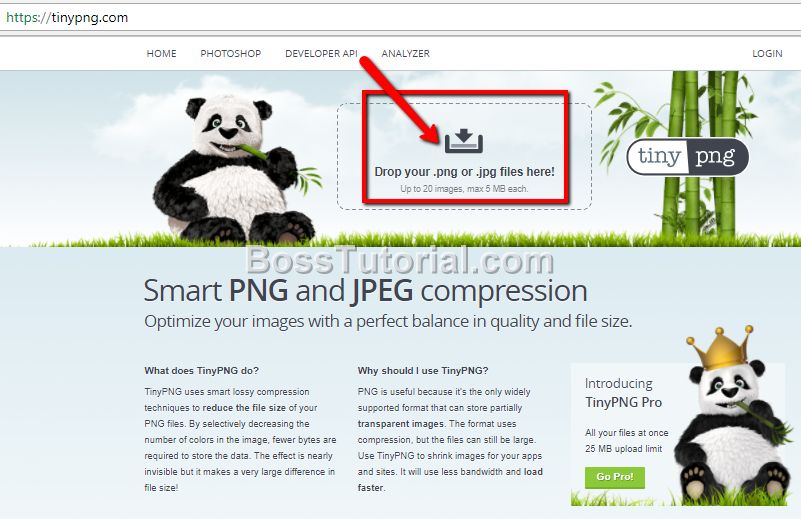 tinypng wordpress price