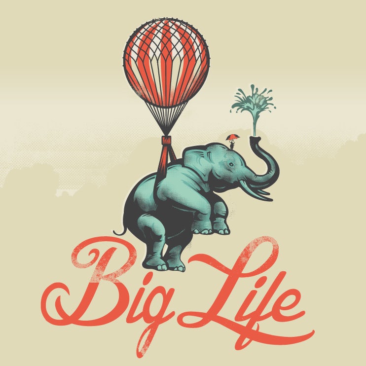  Дизайн упаковки Big Life Elephant 