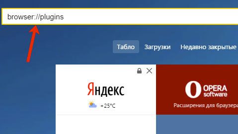 адрес: browser://plugins