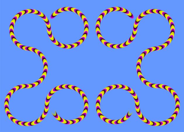 оптические иллюзии: змеи