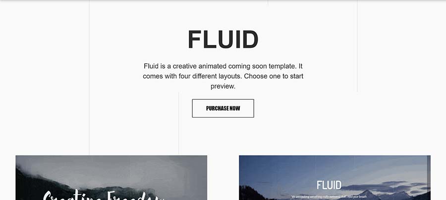 Fluid