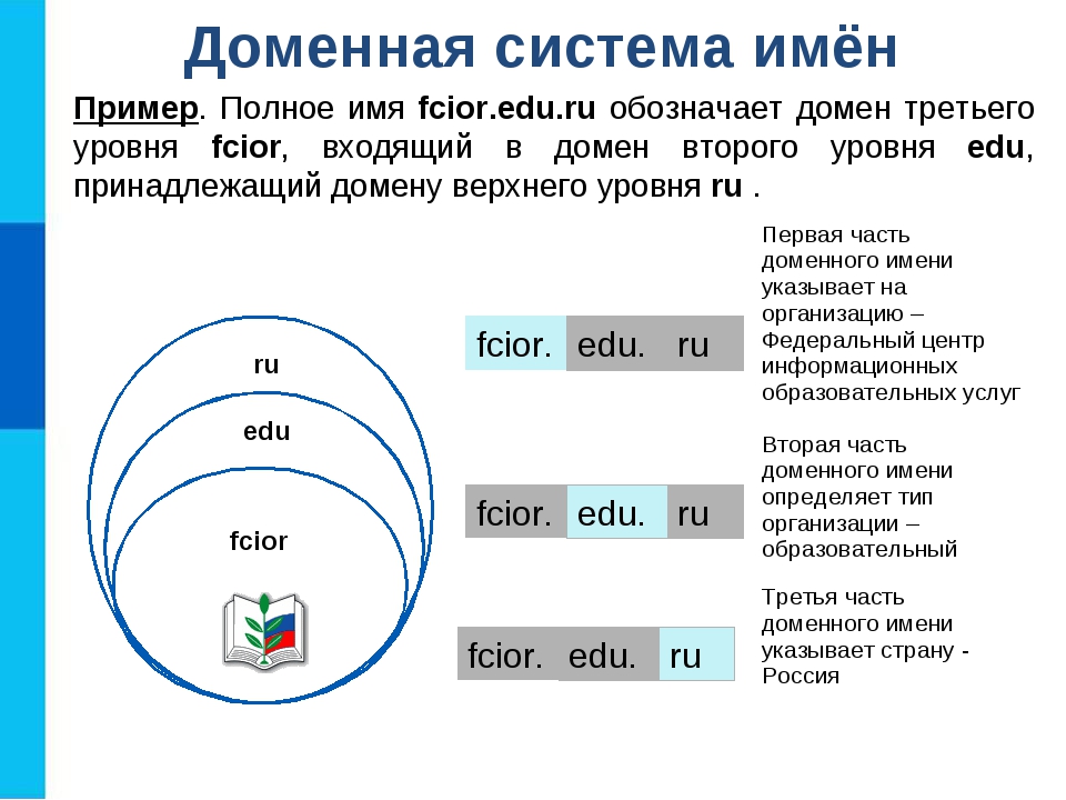 Уровни домена примеры. Пример полного доменного имени. Структура доменной системы имен. Доменная система имен.