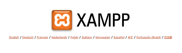 Установка WordPress на локальный компьютер с помощью XAMPP