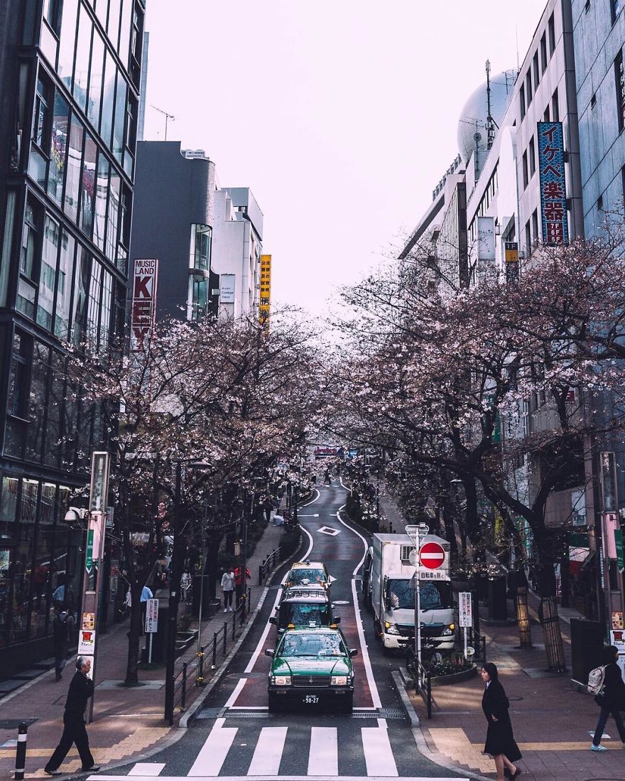 япония фото улиц