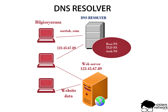 Dns nullsproxy порт. ДНС ресолвер. DNS резолвер что это. Алгоритм DNS. DNS схема.