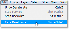 Edit - Fade Desaturate. Image © 2008 Photoshop Essentials.com