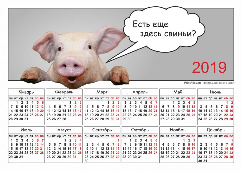 Календарь 2019 со свиньей