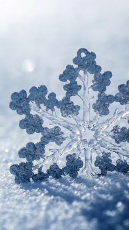 snow, winter, snowflake, 4k (vertical)
