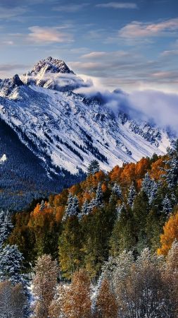 Sneffels, mountain, trees, winter, forest, 4k (vertical)