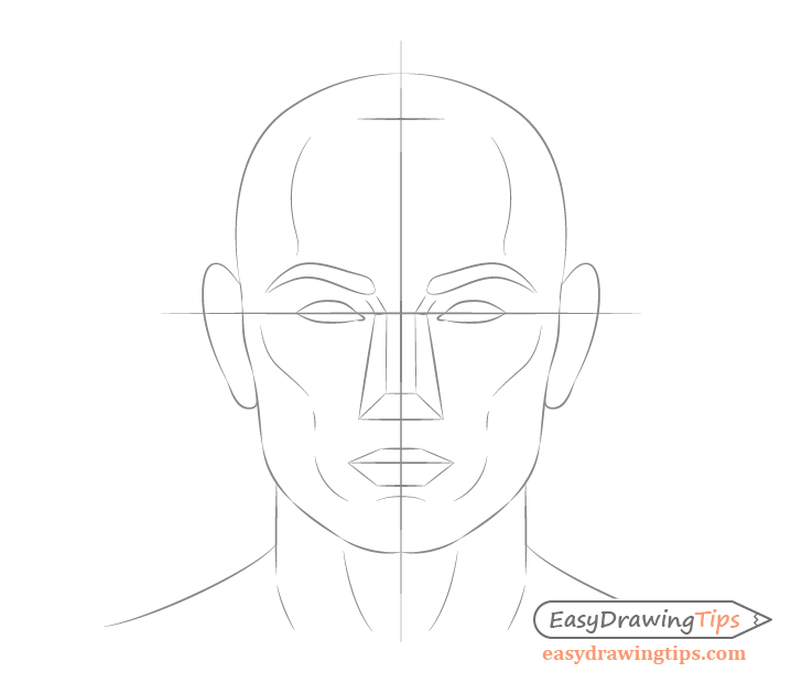 Male facial structure drawing